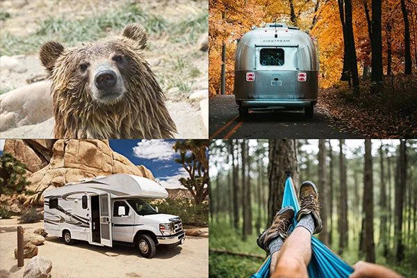 camping image collage