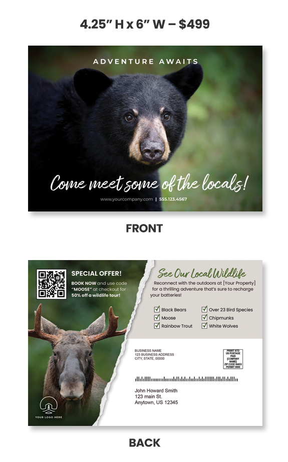 bear postcard