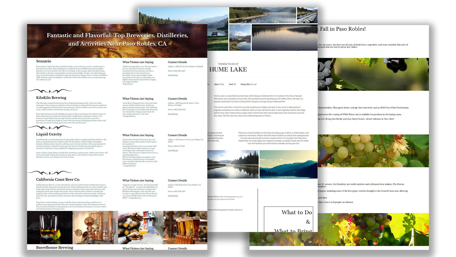 slideshow of articles