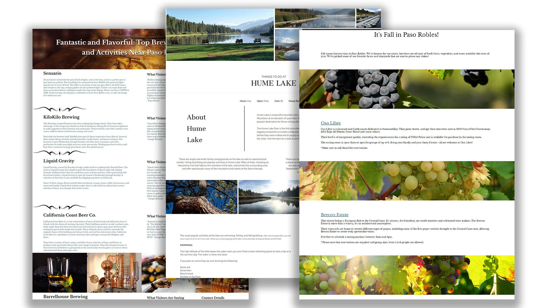 slideshow of articles