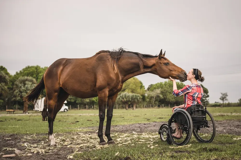 Woman in wheelchair kissing horse in field